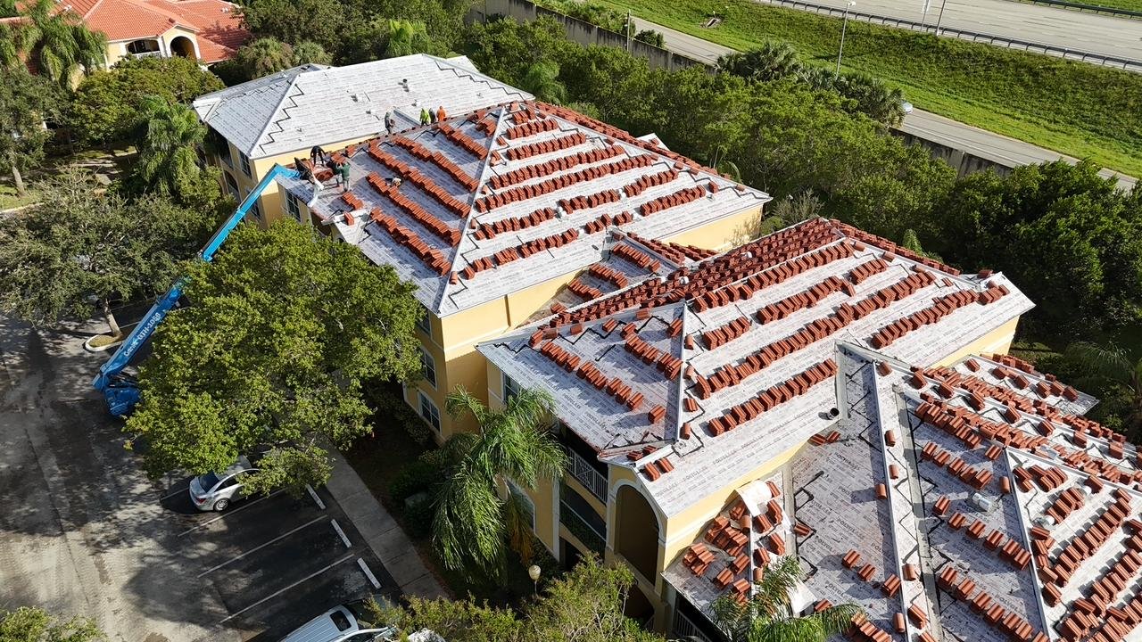 WhatsApp Image 2025-01-28 at 2.29.56 AM